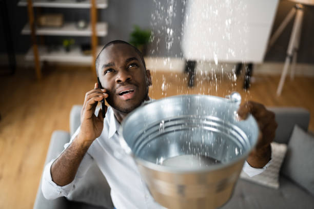 Best Water damage cleanup near me  in Kewaunee, WI